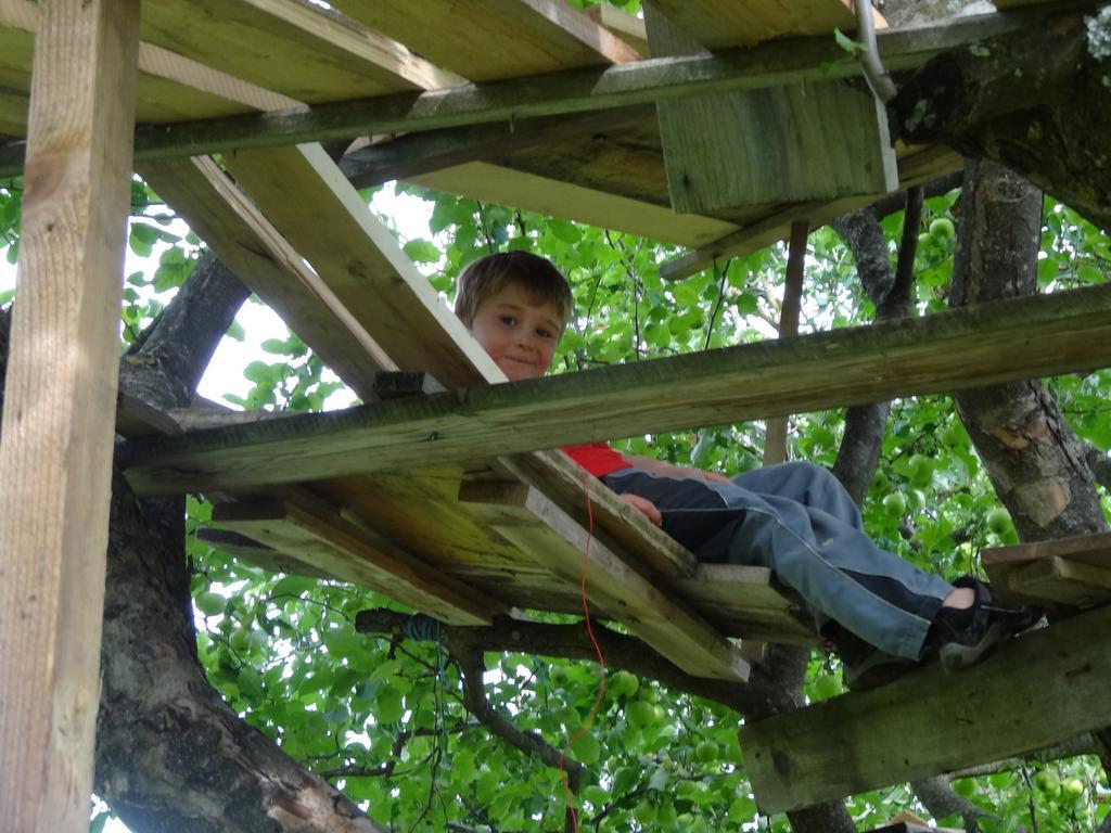 Holzblockhaeuser Fam. Schabus Hermagor-Pressegger See Ruang foto