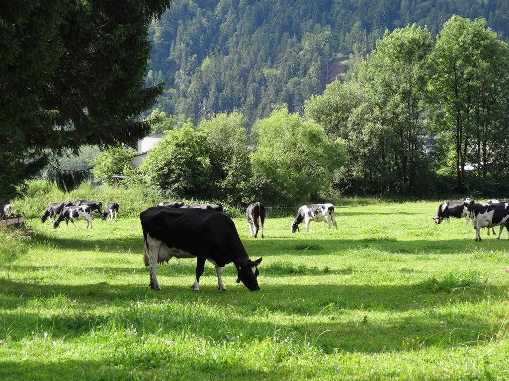 Holzblockhaeuser Fam. Schabus Hermagor-Pressegger See Bagian luar foto